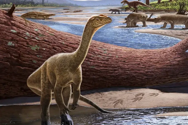 Artistic reconstruction of Mbiresaurus raathi, which has been discovered in Zimbabwe.