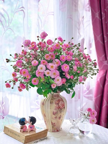 Tử vi ngày 5/9/2022 của 12 cung hoàng đạo