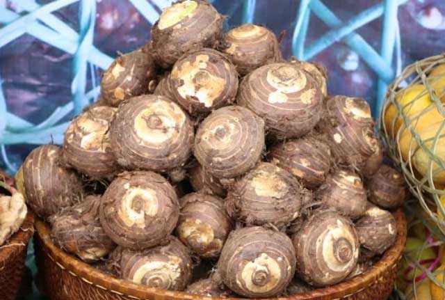 Loại củ xù xì tốt gấp 1,5 so với khoai tây, được ví là "cội nguồn của tuổi trẻ", ít người biết tận dụng