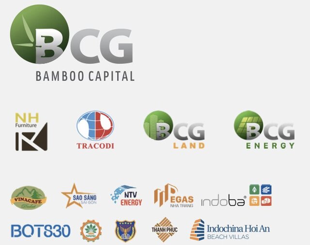 Bamboo Capital là doanh nghiệp có hệ sinh thái tới hàng chục thành viên, hoạt động kinh doanh trên 7 lĩnh vực chính gồm: Năng lượng tái tạo, xây dựng - hạ tầng, bất động sản, sản xuất - thương mại, tài chính - bảo hiểm, dịch vụ quản lý và phân phối bất động sản và dược phẩm.