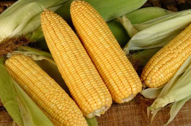 8 món ăn ít calo giúp chị em ăn no mà không sợ béo