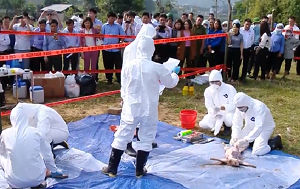 Thúc đẩy hợp tác dài hạn với CDC Mỹ để giám sát cúm gia cầm và bệnh dại