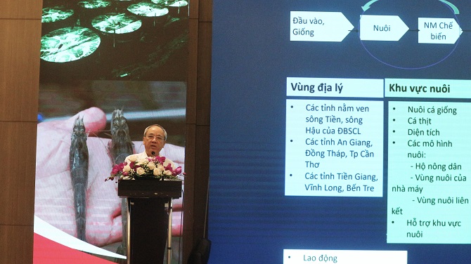 Ông Võ Hùng Dũng, Phó Chủ tịch thường trực kiêm Tổng thư ký Hiệp hội cá tra Việt Nam (VINAPA) thông tin về tình hình sản xuất và xuất khẩu cá tra Việt Nam