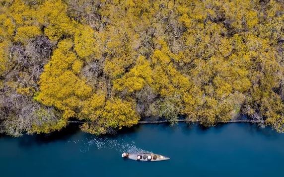 Ở Huế có một cánh rừng thuộc hệ cực quý hiếm còn sót lại ở Đông Nam Á