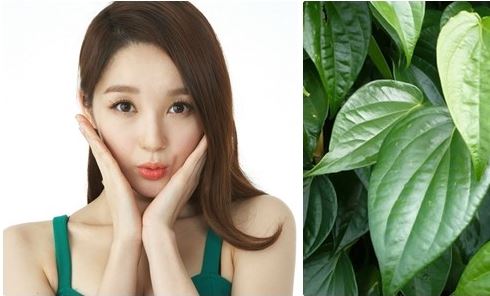 5 cách chữa đau răng tại nhà bạn phải biết