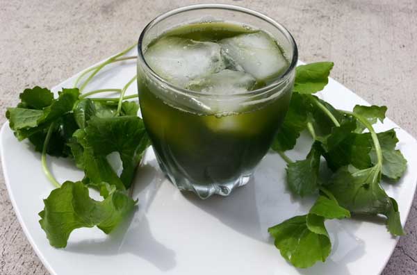 Uống 1 cốc nước rau má vừa làm mát gan lại thải sạch độc tố, nhiều người vẫn bỏ phí