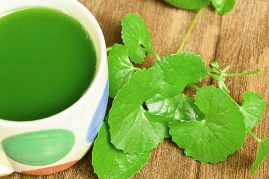 Những lợi ích thần kì của rau má mà rất nhiều người vẫn coi như "rau dại"