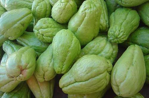 Lợi ích của quả su su với sức khỏe con người, ai cũng cần đến