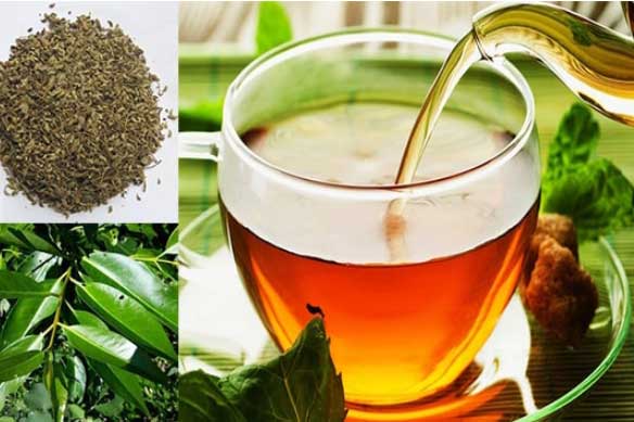 Uống nước vối mỗi ngày sẽ mang đến cho bạn nhiều lợi ích bất ngờ, miễn là không làm những việc sau