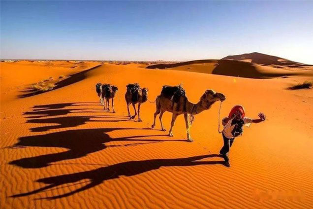 Bên dưới lớp cát dày của sa mạc Sahara ở Châu Phi có gì?