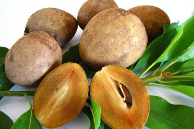 Lợi ích quý giá của quả hồng xiêm, càng ăn càng nhiều dinh dưỡng