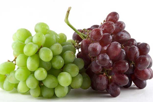 Loại quả mà thận "thích mê", ăn vào thận khoẻ, lọc tạp chất khỏi cơ thể