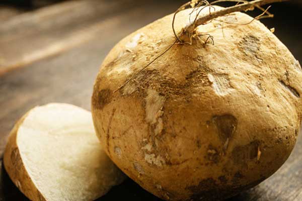 Tác dụng tuyệt vời của củ đậu và những lưu ý cần biết khi ăn để cơ thể thu được 100% dinh dưỡng