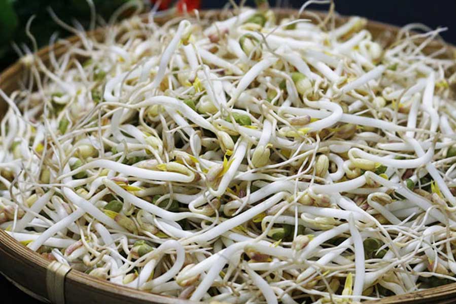 Giá đỗ mát và bổ nhưng tuyệt đối không được ăn theo cách này kẻo ngộ độc