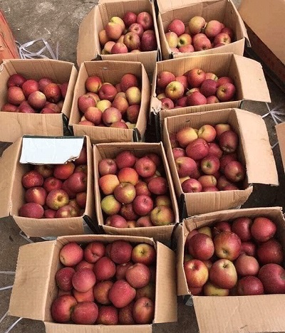 Táo đá Trung Quốc giá siêu rẻ ‘làm mưa làm gió’ tại chợ