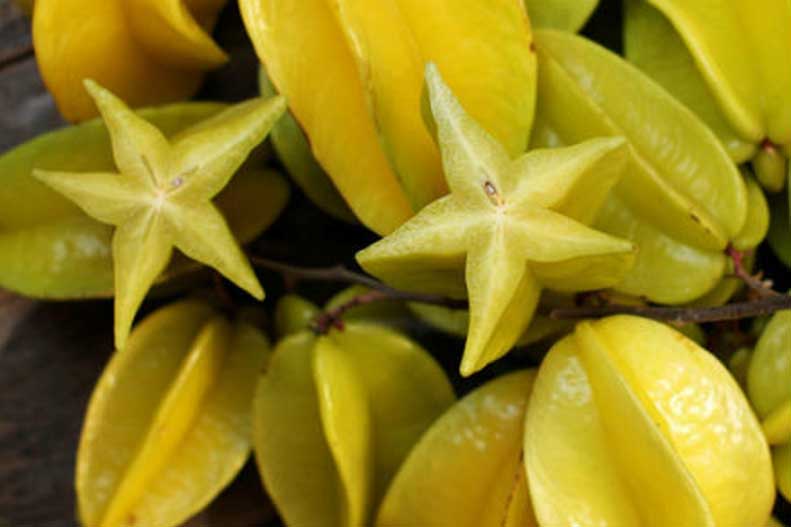 6 lợi ích "vàng" của quả khế với sức khỏe con người, đặc biệt nhất là số 1