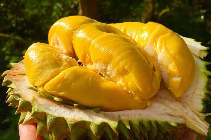 6 loại trái cây 'cực độc' với người bị tiểu đường, thèm mấy cũng chớ dại mà ăn