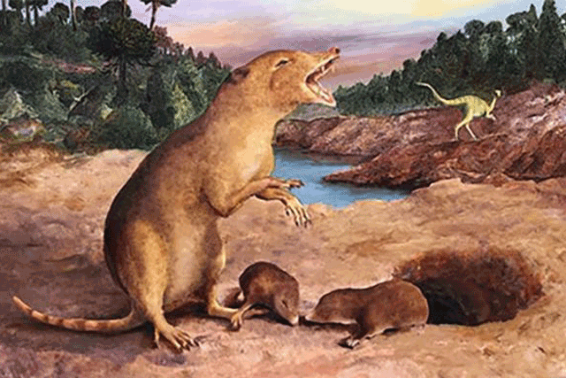 Phát hiện hài cốt "vị tổ tiên đầu thời khủng long" của chúng ta