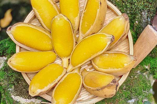 Nặng 70kg quyết tâm luộc chuối ăn mỗi ngày, nào ngờ 1 tháng sau đo vòng bụng "tá hỏa" vì bất ngờ quá đỗi