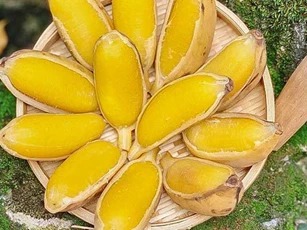 Nặng 70kg quyết tâm luộc chuối ăn mỗi ngày, nào ngờ 1 tháng sau đo vòng bụng "tá hỏa" vì bất ngờ quá đỗi