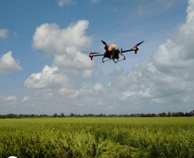 Hướng tới nền nông nghiệp phát triển bền vững