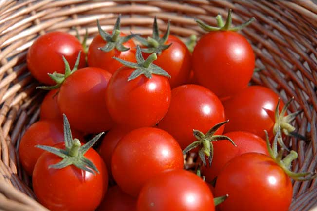 Cách bảo quản cà chua chuẩn nhất, tha hồ để mà không lo thối hỏng