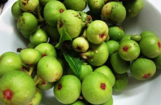 Quả sung cực tốt cho sức khỏe bà bầu