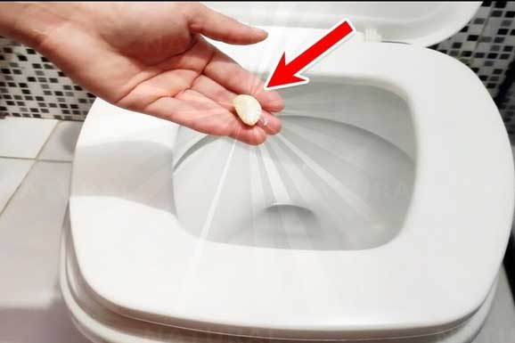 Lợi ích kỳ diệu của việc ném 1 tép tỏi vào bồn cầu, nhà nhà đều muốn học theo