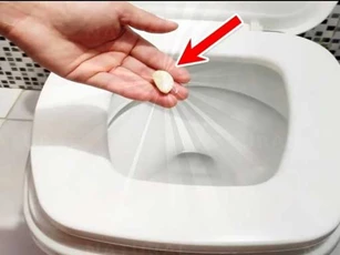 Lợi ích kỳ diệu của việc ném 1 tép tỏi vào bồn cầu, nhà nhà đều muốn học theo