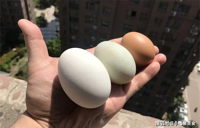 Dinh dưỡng của trứng gà, trứng vịt và trứng ngỗng có gì khác nhau, loại nào ngon hơn? 4