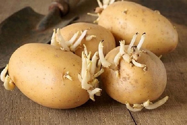 Điểm mặt những thực phẩm được coi là "sát thủ thầm lặng" trong nhà bếp mà ít ai để ý đến