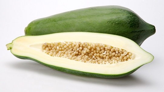 Cách chữa bệnh bằng đu đủ xanh có thể bạn chưa biết