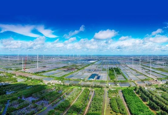 Giải bài toán "lệch nhịp" giữa kinh tế tuần hoàn và kinh tế số