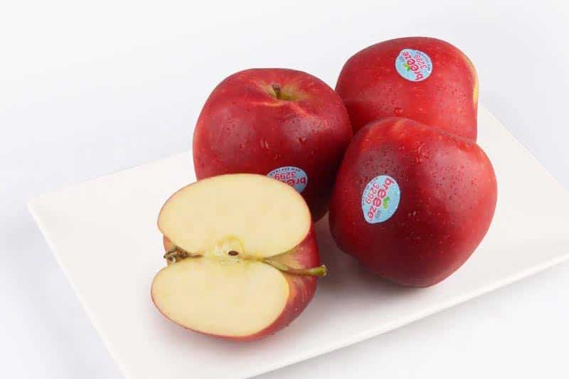 Ăn loại quả này thận "thích mê", giúp đào thải độc tố tích tụ trong cơ thể