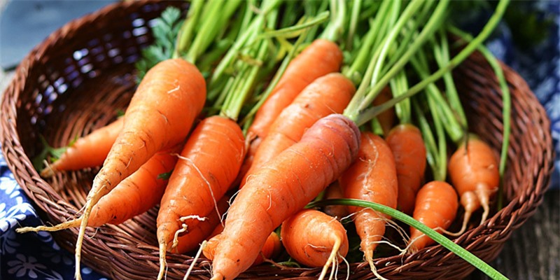 Lợi ích tuyệt vời của cà rốt với sức khỏe nam giới