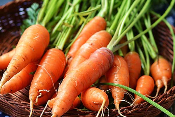 Lợi ích tuyệt vời của cà rốt với sức khỏe nam giới