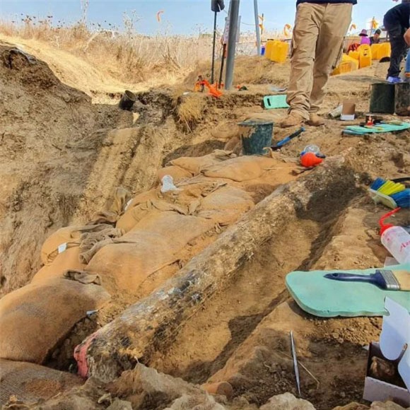 Các nhà khảo cổ học Israel tìm thấy ngà của một loài voi khổng lồ 500.000 năm tuổi - Ảnh 1.
