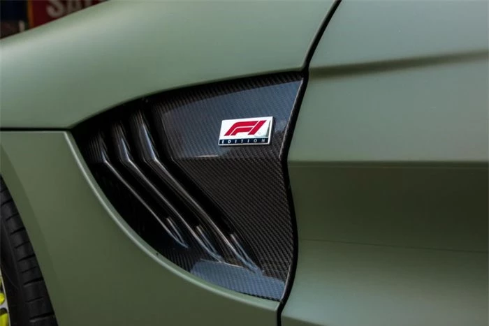  Logo F1 xuất hiện ở hai bên thân xe. Nhiều chi tiết trên xe sử dụng sợi carbon để giảm tối đa khối lượng, điển hình như líp cản trước, vây cá, viền hốc gió bên hông, ốp gương chiếu hậu, cánh gió và khuếch tán sau. 