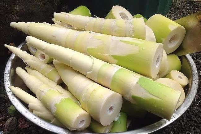 Điểm mặt các thực phẩm chứa chất gây độc, ‘sát thủ’ thầm lặng trong nhà bếp ít ai chú ý: Cẩn trọng khi ăn