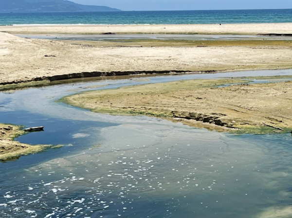 Đà Nẵng: Kiểm tra, xử lý nghiêm tình trạng nước thải không đạt quy chuẩn chảy ra biển 