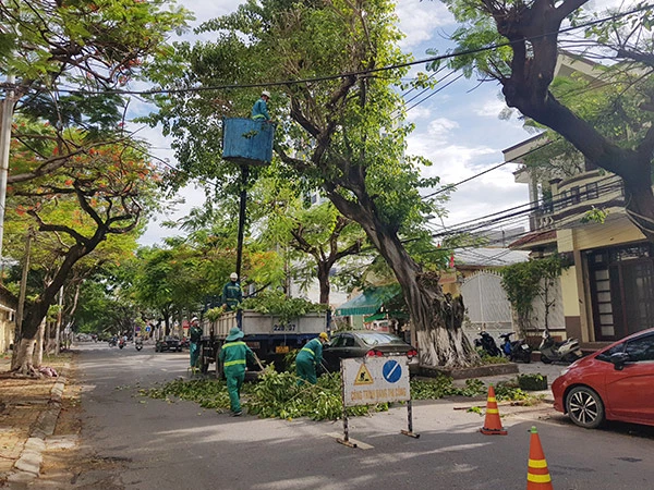Công ty Công viên cây xanh Đà Nẵng khẩn trương cắt tỉa cây xanh, sẵn sàng ứng phó bão Noru (bão số 4)