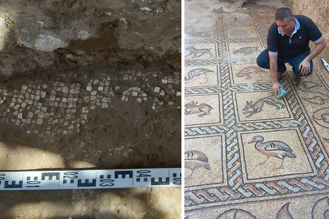 Trồng cây, anh nông dân đào được "kho báu vô song" 1.500 năm vẫn nguyên vẹn