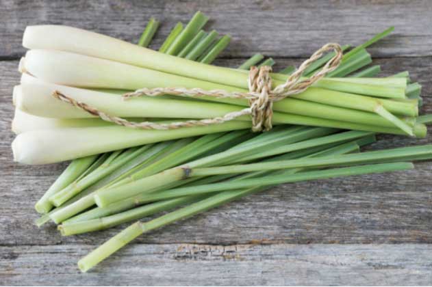 Lấy củ sả đun lên uống mỗi ngày: Vừa thải độc gan thận, vừa dưỡng da, giảm cân thần tốc