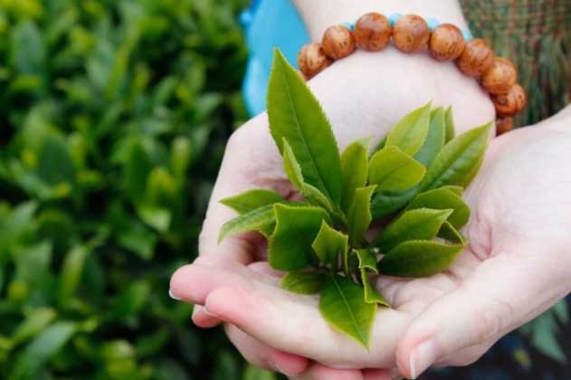 Tắm bằng 4 loại nước “thần dược” này đảm bảo sạch mụn và se khít lỗ chân lông