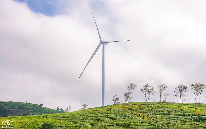 Nhà máy điện gió Cầu Đất là dự án điện gió triển khai xây dựng đầu tiên tại Đà Lạt (Ảnh: Ngô Văn Lai)