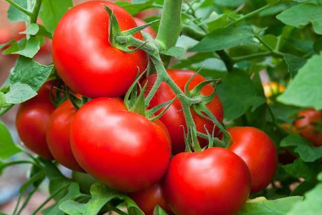 6 thực phẩm ăn "thả ga" cũng không lo tăng cân, béo bụng