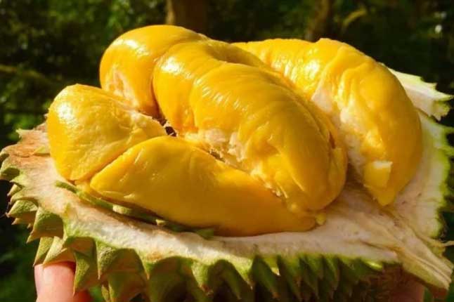 Ăn sầu riêng rất tốt nhưng ăn với thứ này thì "đại kị"