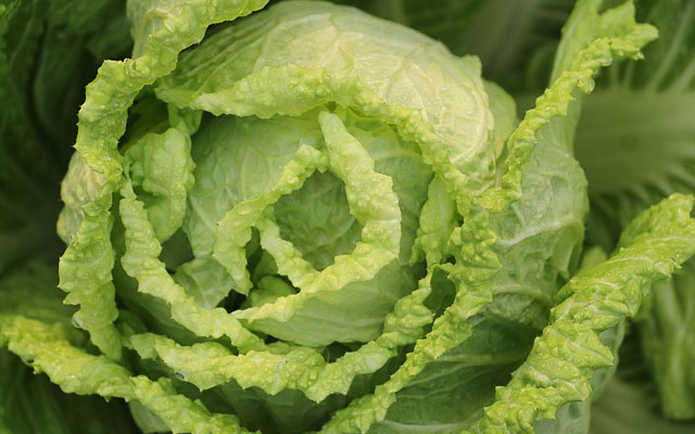 Những loại thực phẩm tốt nhất dành cho người loãng xương