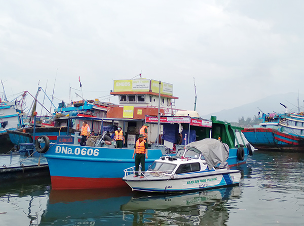 Bộ đội Biên phòng Đà Nẵng hướng dẫn, sắp xếp tàu cá vào neo đậu an toàn trong âu thuyền và cảng cá Thọ Quang để tránh trú bão Noru