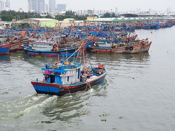 Tàu thuyền của ngư dân vào âu thuyền Thọ Quang tránh trú bão Noru.